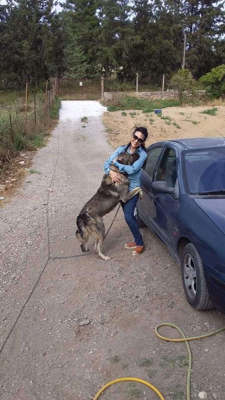 Ελένη Φιλίνη 7
