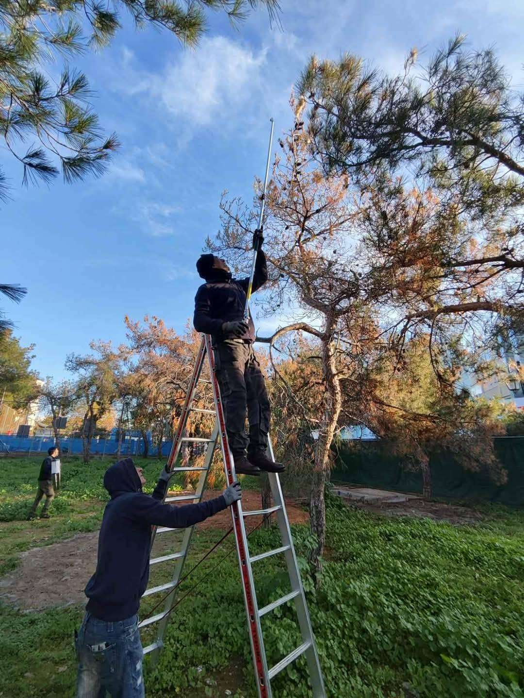 Ανδρέας Κονδύλης
