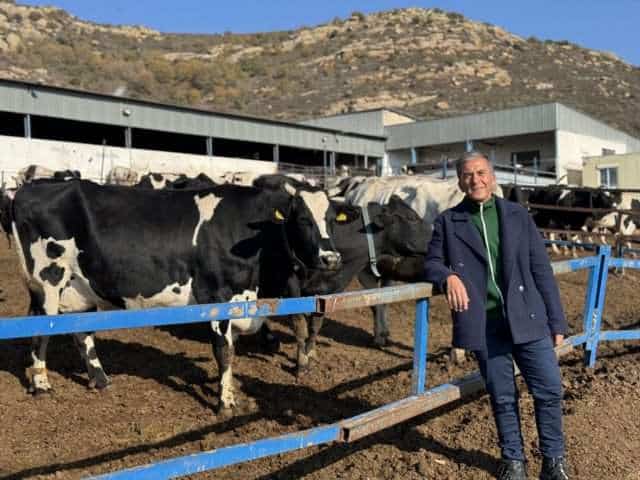 Κωστής Ζαφειράκης