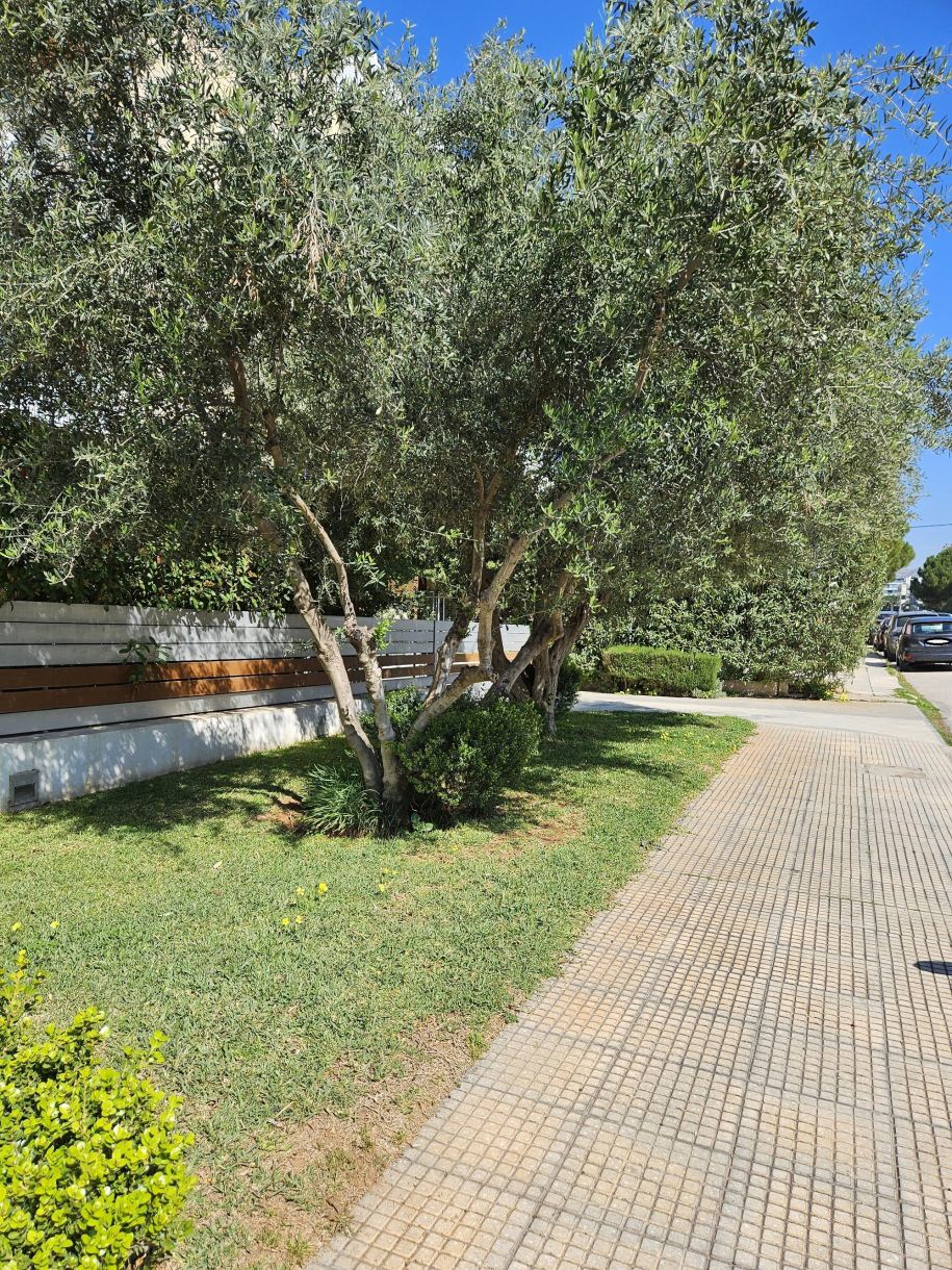 Γλυφάδα δρόμοι