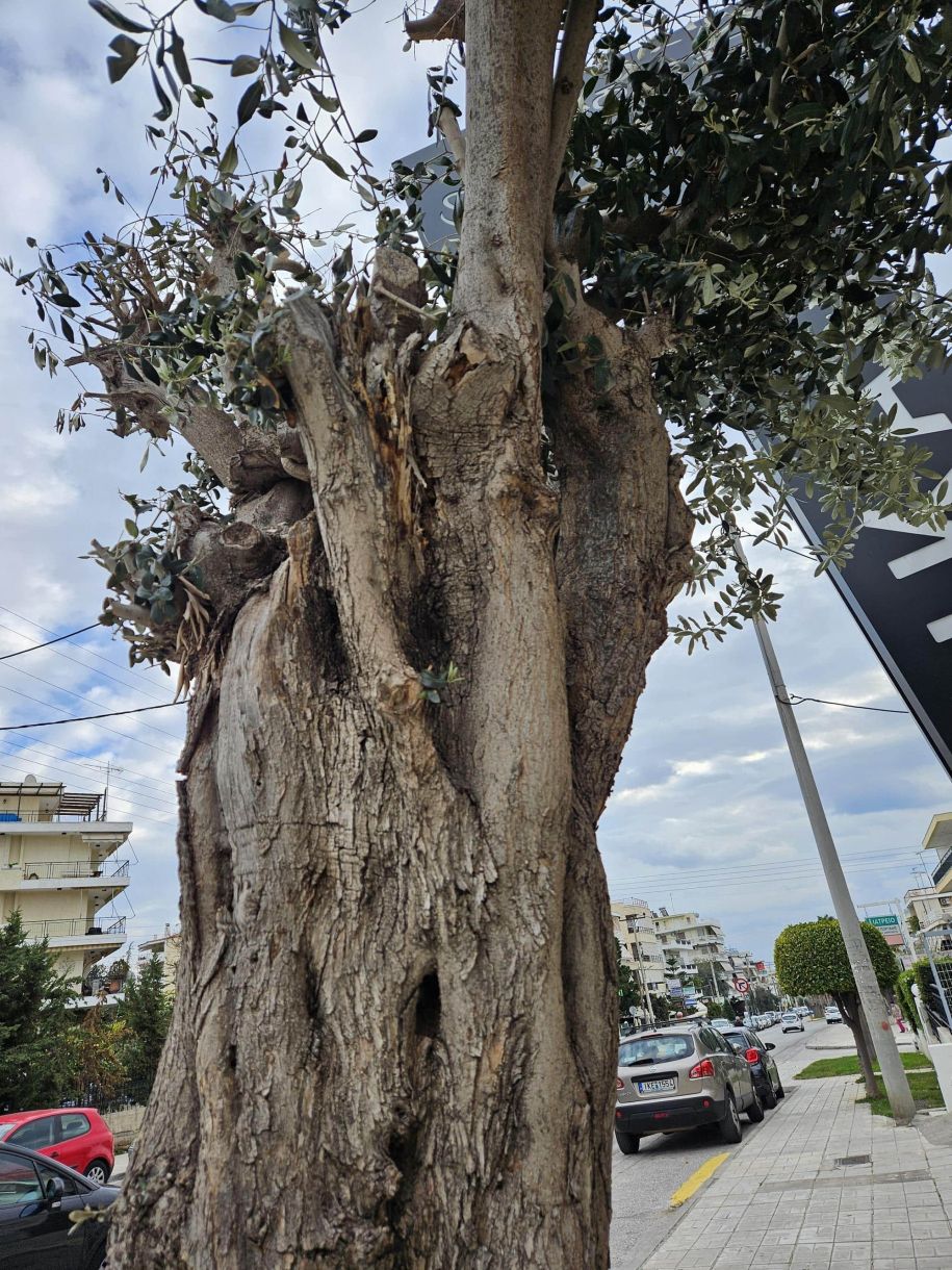Γλυφάδα τώρα 2 5