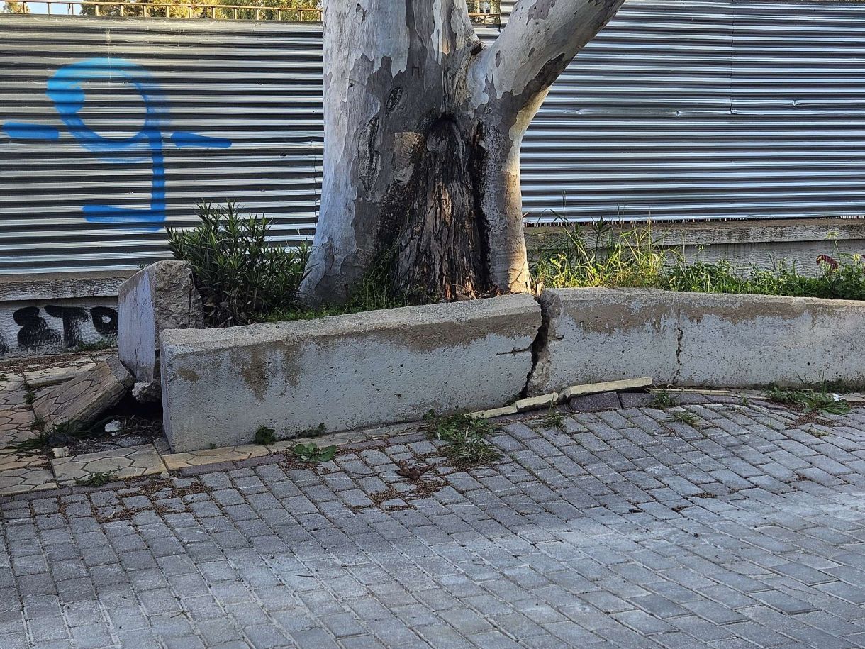 Γλυφάδα τώρα Έσκασε ο πεζόδρομος από τις ρίζες των δέντρων!