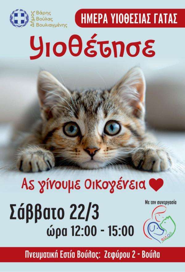 Ημέρα υιοθεσίας γάτας