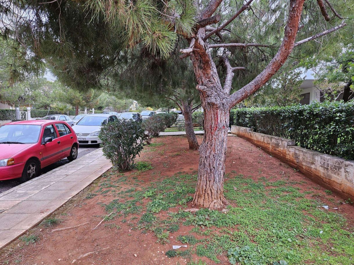 Κήποι, καθαρισμός περιποίηση! Όταν ο ΚΗΠΟΥΡΟΣ είναι σχολαστικός