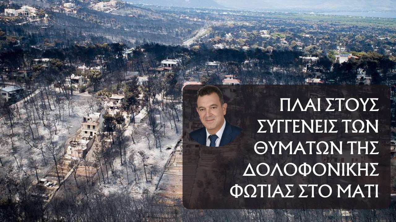 Νίκος Παπαδόπουλος βιογραφικό 