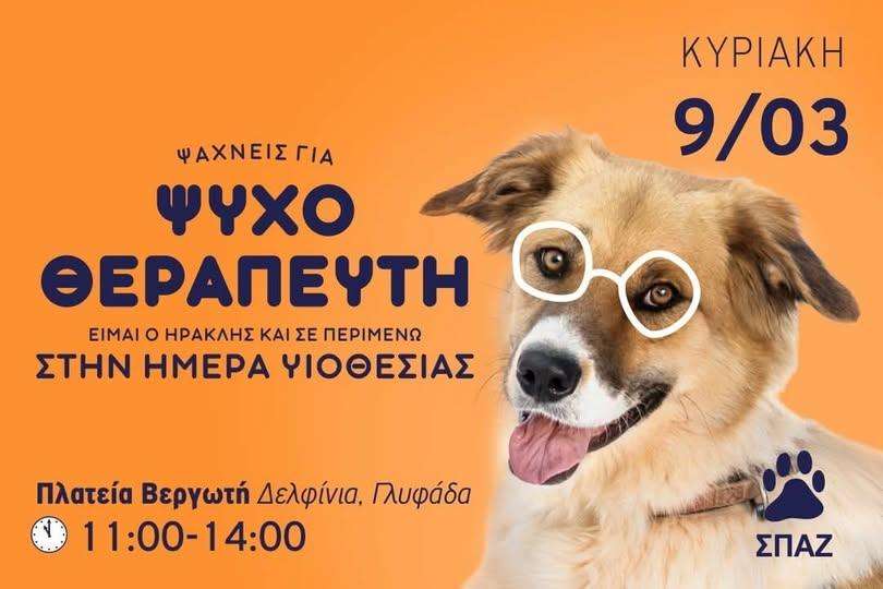 Ο ΣΠΑΖ διοργανώνει νέα υιοθεσία σκύλων