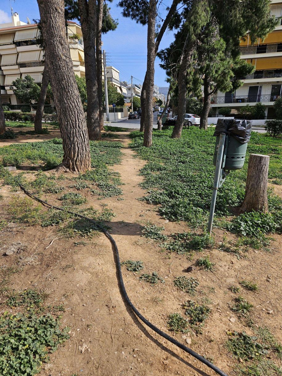 Πάρκα, δάση στα νότια προάστια! Η υπέροχη αισθητική του 1960 στο 2025