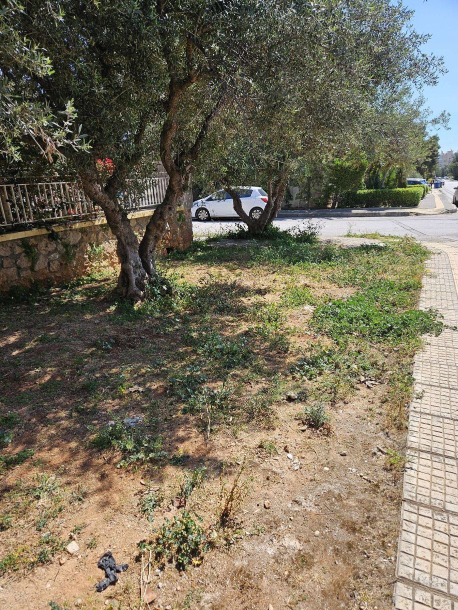 Δήμοι κήποι Ο νόμος που αν παραβείς θα σου αδειάσει η τσέπη κυριολεκτικά 1 1