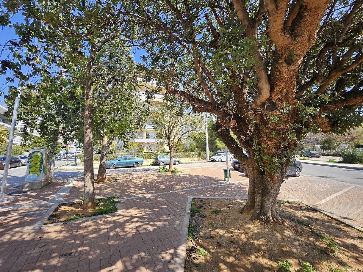 Δήμοι καθαριότητα Ούτε χαρτάκι
