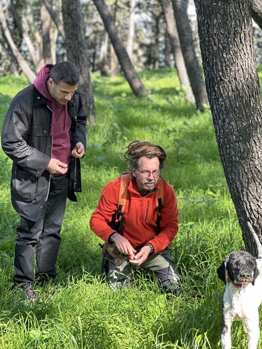 Άκης Πετρετζίκης