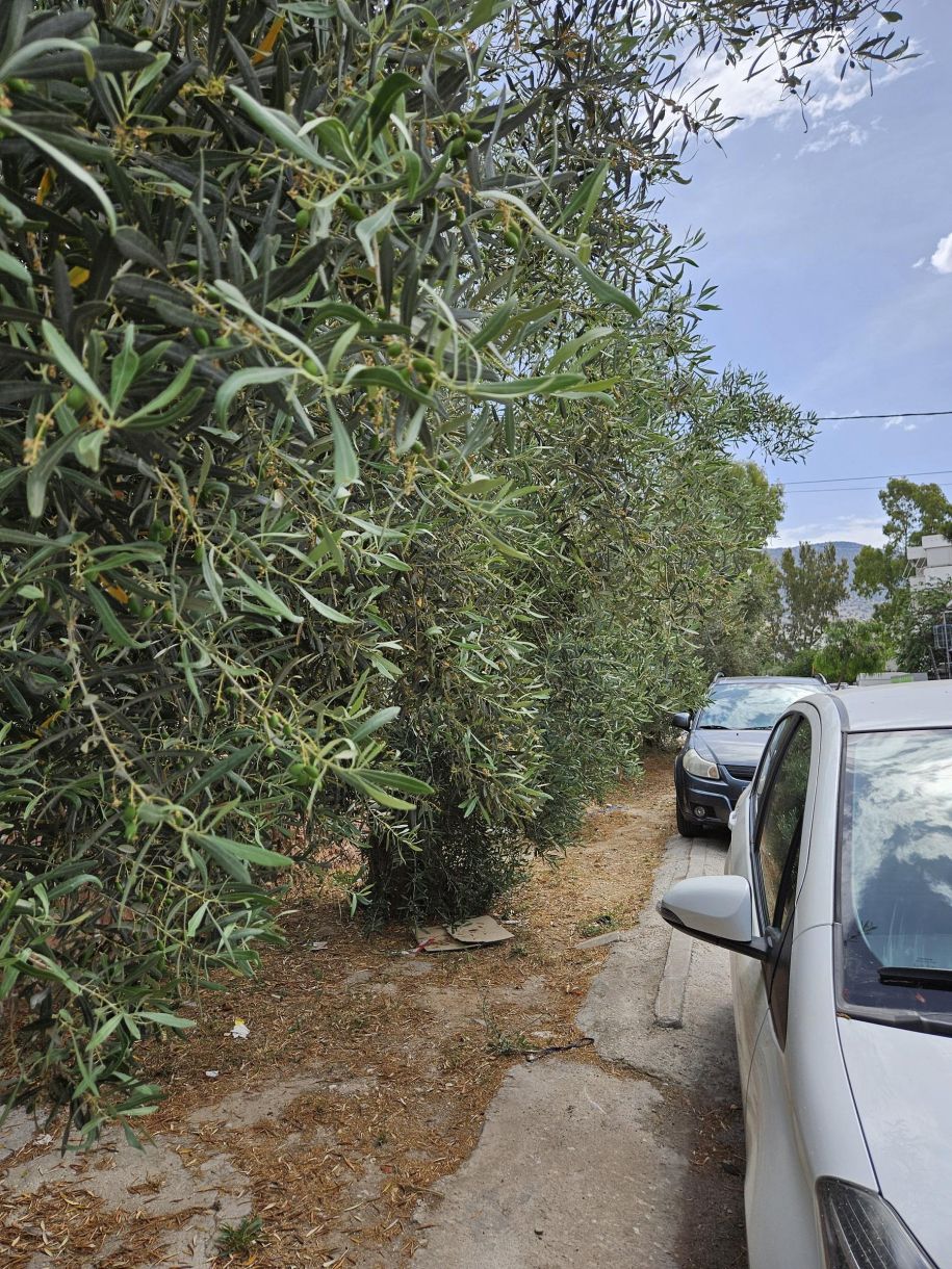 Γλυφάδα: Αν τρώγονταν τα πεζοδρόμια, τώρα θα τα χαμε χωνέψει κιόλας