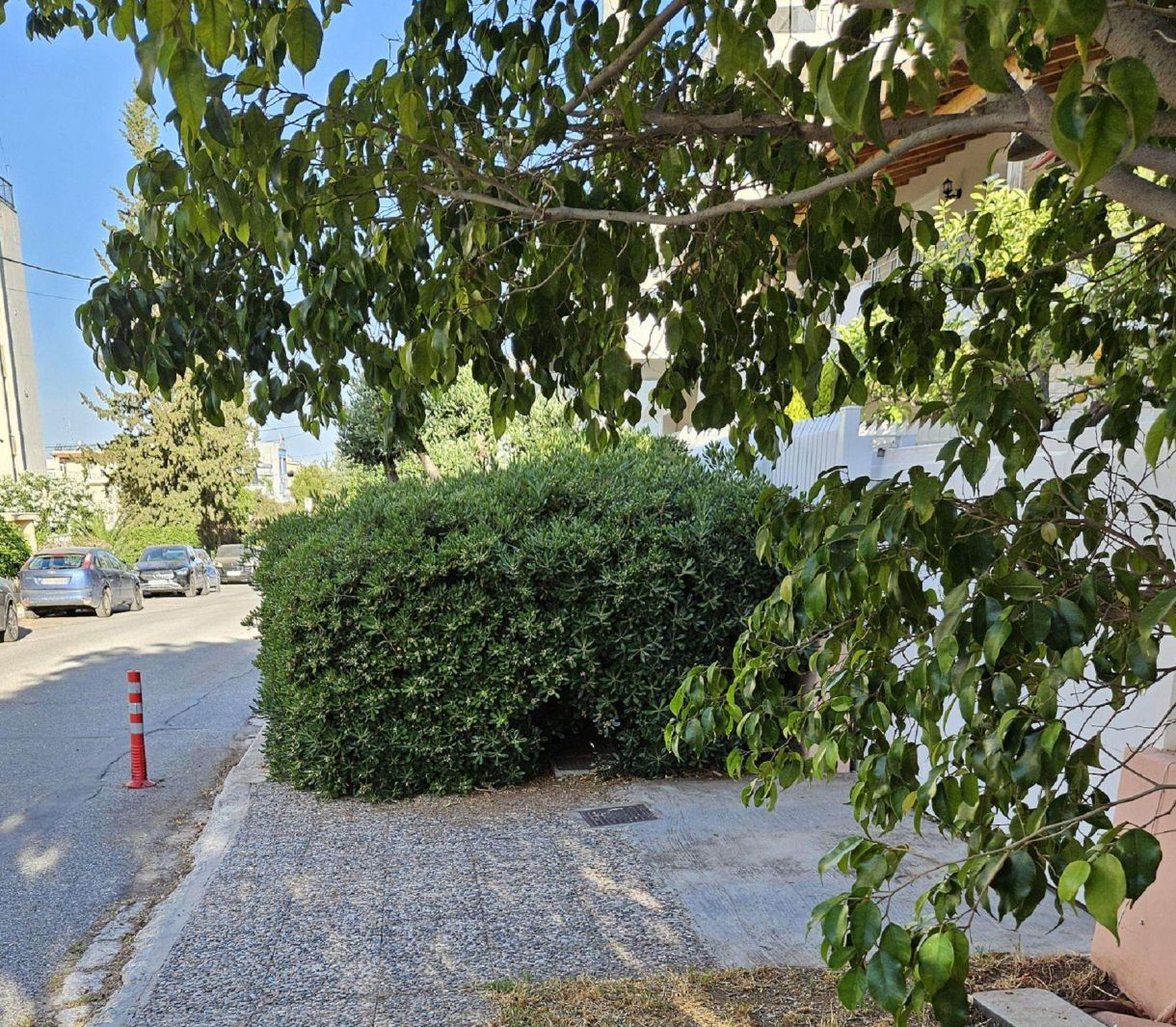 Γλυφάδα σήμερα! Πως λέγεται αυτό που ο άλλος σου απαγορεύει να περπατάς; στην πόλη σου;