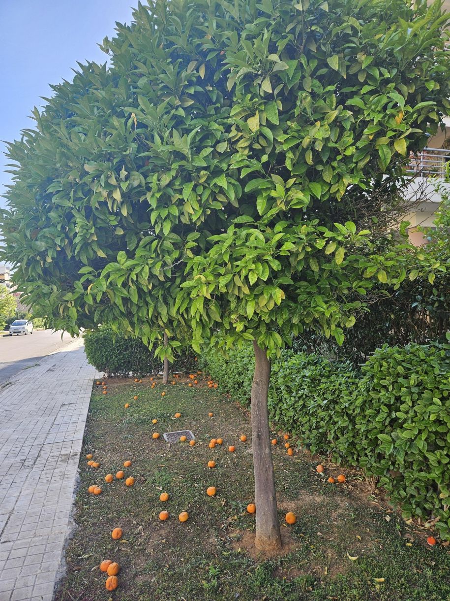 Γλυφάδα σπίτια διαμερίσματα σήμερα Τα διαμάντια αρχιτεκτονικής έτοιμα προς παράδοση 2