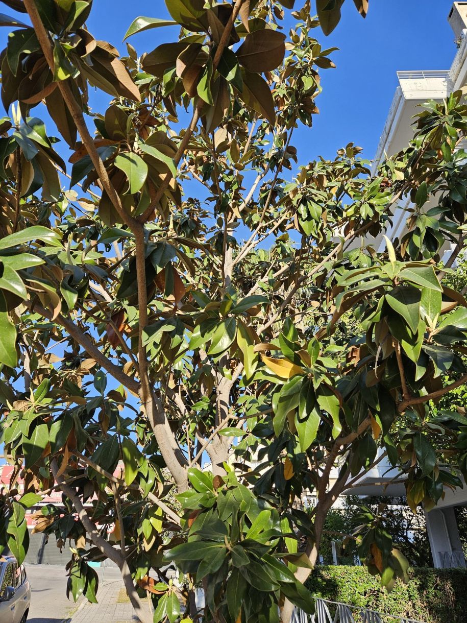 Καιρός σήμερα – Νότια! Στους 30+ η θερμοκρασία μέχρι το μεσημέρι!